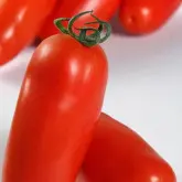 Seminte tomate Sir Galvan F1