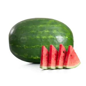 Seminte pepene verde Amazone F1