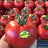 Seminte tomate Demiroz F1