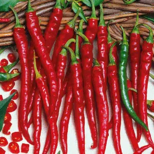 Seminte ardei iute De Cayenne