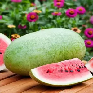 Seminte pepene verde Charleston Gray