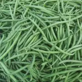 Seminte fasole oloaga fideluta Elba