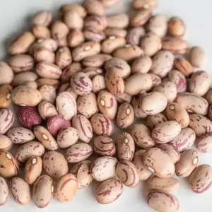 Seminte fasole oloaga lata Horticultural Taylor