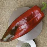 Seminte ardei capia Kamor F1