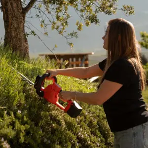 Foarfeca electrica de tuns gard viu 21 V, fara baterie