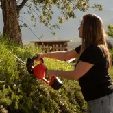 Foarfeca electrica de tuns gard viu 21 V, fara baterie