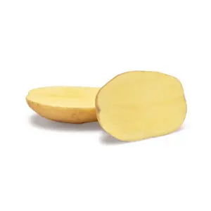 Cartofi de samanta albi Agria, sac 3 kg