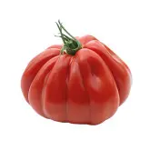 Seminte tomate Grifone F1