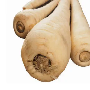 Seminte pastarnac White Gem