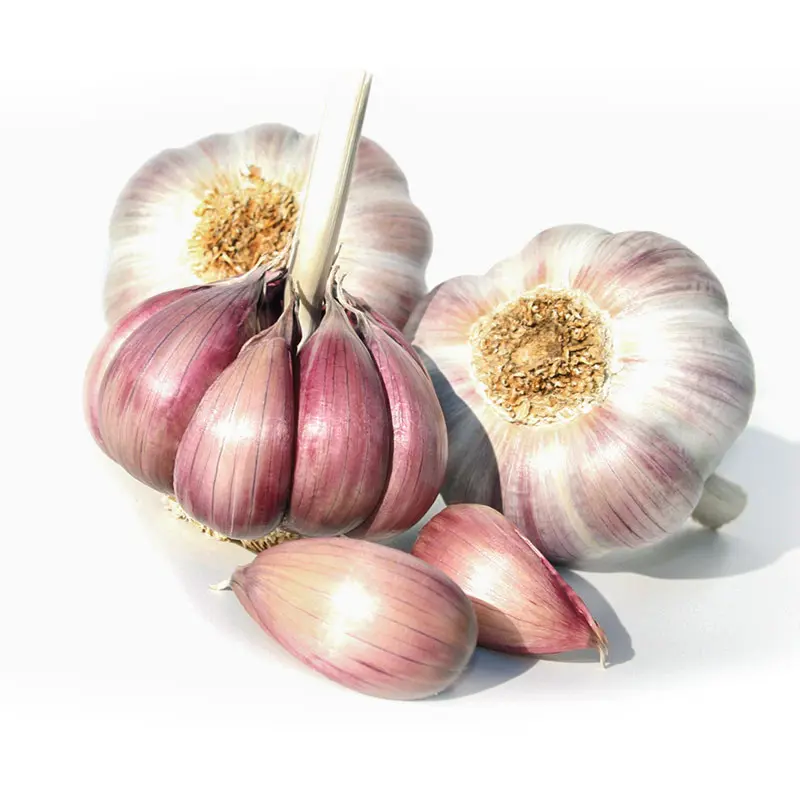 Usturoi spaniol rosu Gardos, calibru 50+, cutie 10 kg