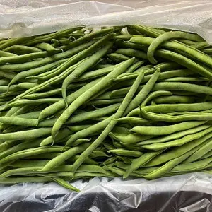 Seminte fasole urcatoare fideluta Terli