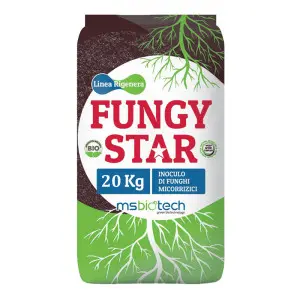 Ameliorator de sol Fungy Star