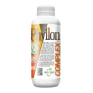 Ingrasamant Phyllon Complex