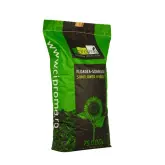 Seminte floarea soarelui Suria CL