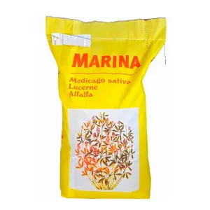 Samanta lucerna Marina