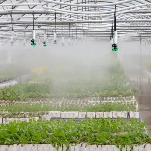 Microaspersor de ceata Agrodrip Fogger