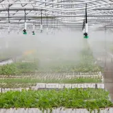 Microaspersor de ceata Agrodrip Fogger