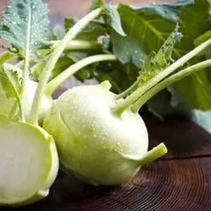 Seminte gulie Neisse F1