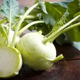 Seminte gulie Neisse F1