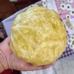 Seminte varza Mikuni F1