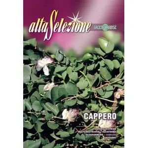 Seminte capere Alta Selezione