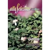 Seminte capere Alta Selezione