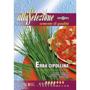 Seminte ceapa de tuns Alta Selezione