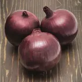 Seminte ceapa rosie Focus F1