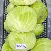 Seminte varza Corvus F1