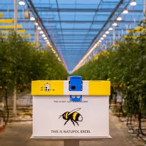 Bondari polenizare Natupol Excel