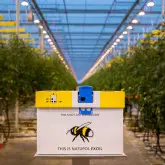 Bondari polenizare Natupol Excel