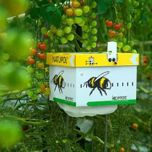 Bondari polenizare Natupol Sprint