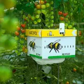 Bondari polenizare Natupol Standard