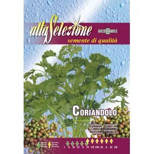 Seminte coriandru Alta Selezione