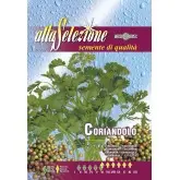Seminte coriandru Alta Selezione
