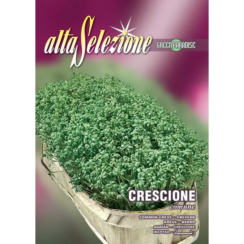 Seminte creson comun Alta Selezione