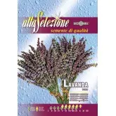 Seminte lavanda Alta Selezione