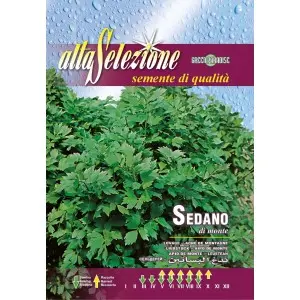 Seminte leustean Alta Selezione