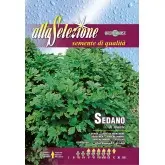 Seminte leustean Alta Selezione