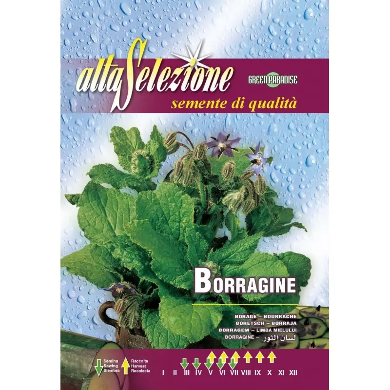 Seminte limba mielului Alta Selezione