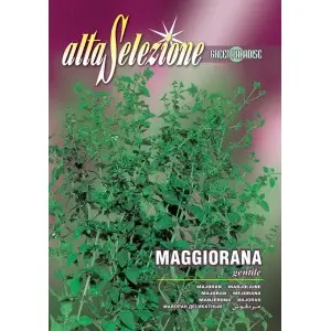 Seminte maghiran Alta Selezione