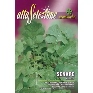 Seminte mustar alb Alta Selezione