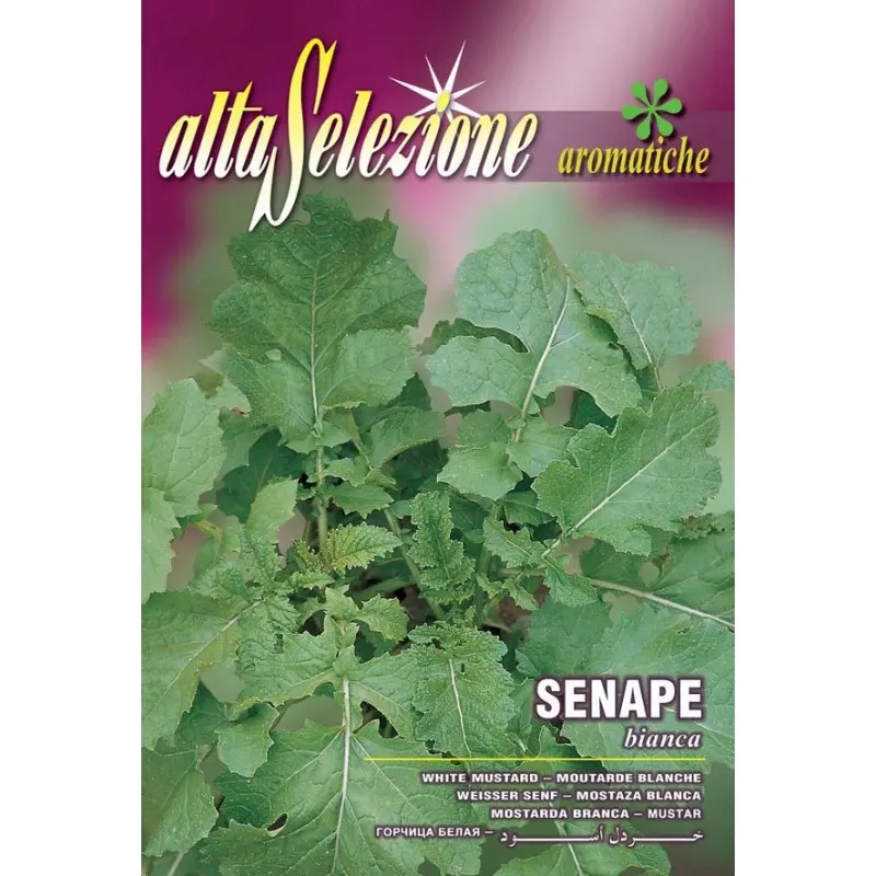 Seminte mustar alb Alta Selezione