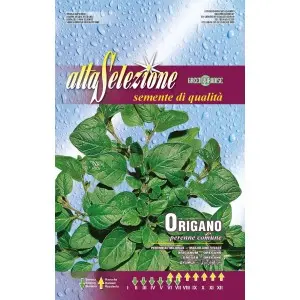 Seminte oregano Alta Selezione