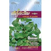 Seminte oregano Alta Selezione