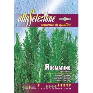 Seminte rozmarin Alta Selezione