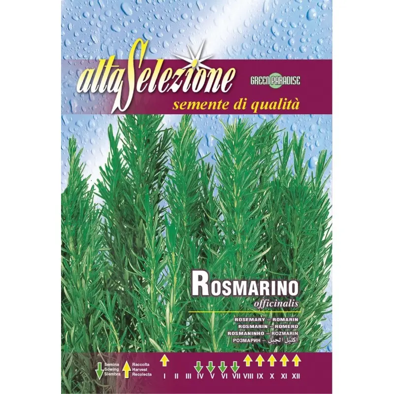 Seminte rozmarin Alta Selezione