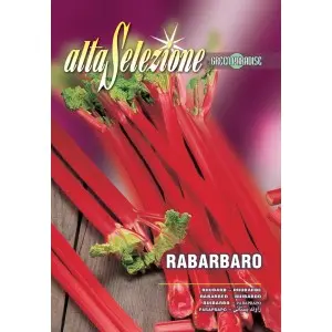 Seminte rubarba Alta Selezione