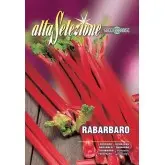 Seminte rubarba Alta Selezione