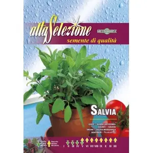 Seminte salvia medicinala Alta Selezione
